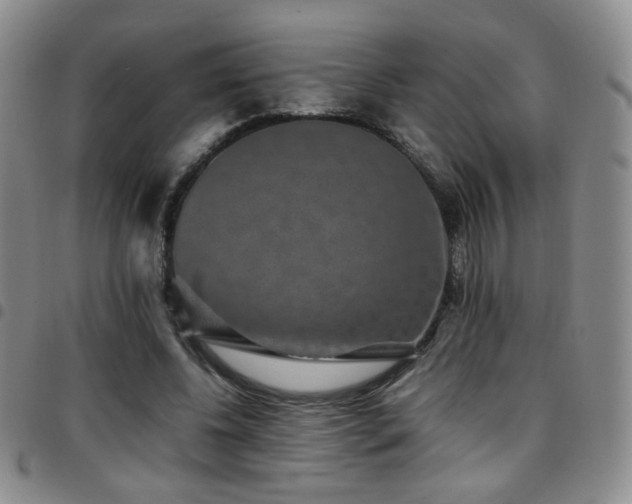 X0000097820540200803141143