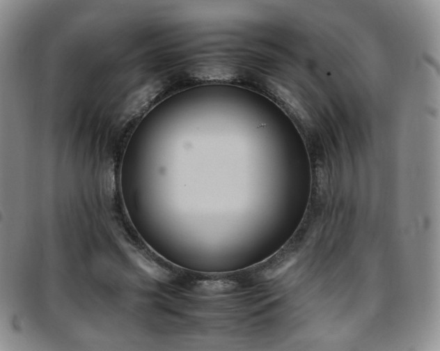 X0000097820541200803141143