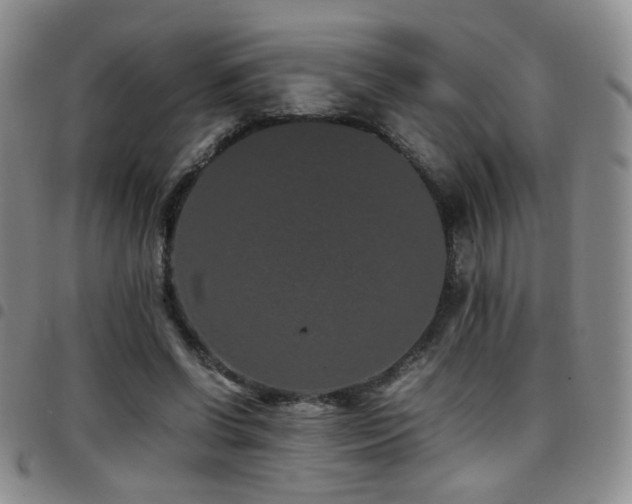 X0000097820542200803141143