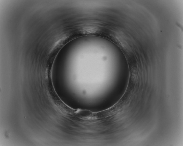 X0000097820543200803141143