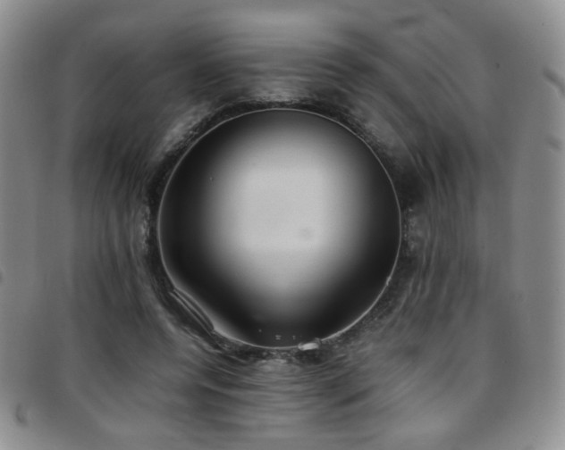 X0000097820544200803141143