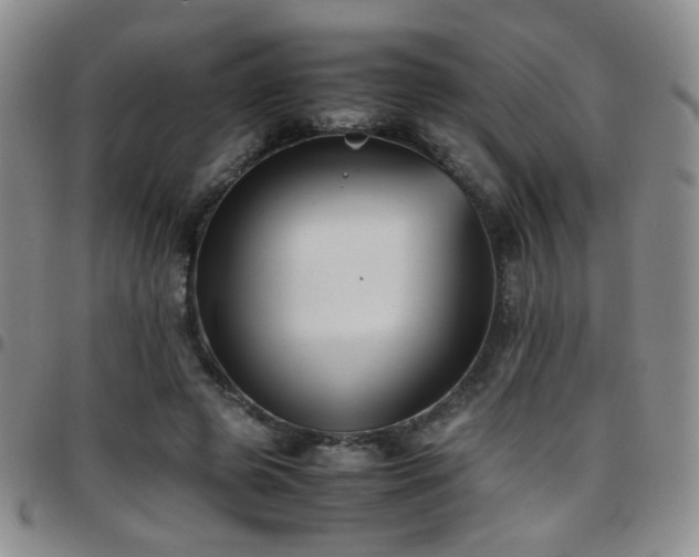 X0000097820545200803141143