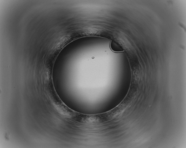 X0000097820546200803141143