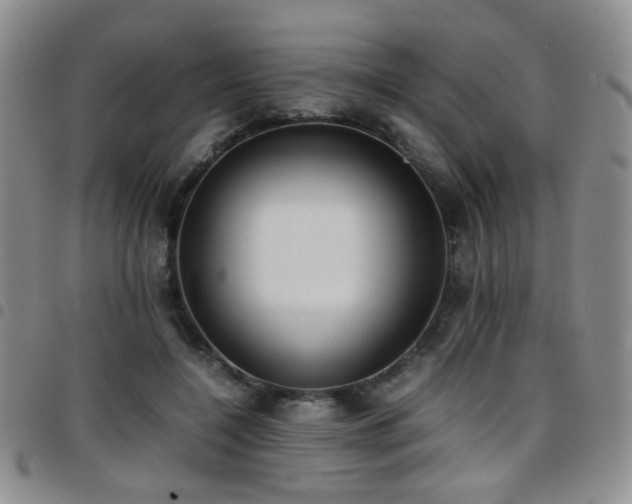 X0000097820548200803141143