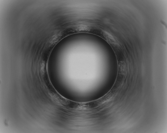 X0000097820550200803141143