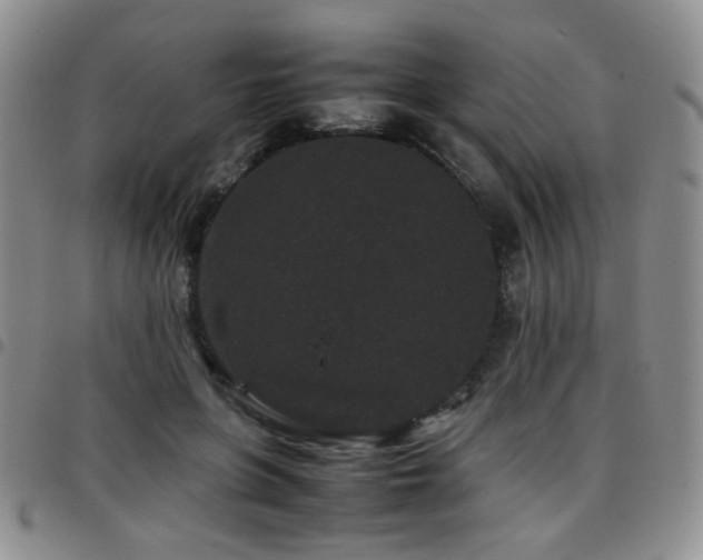 X0000097820551200803141143