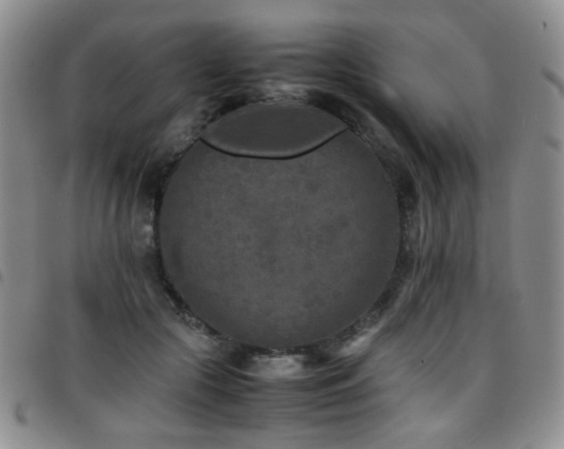 X0000097820553200803141143