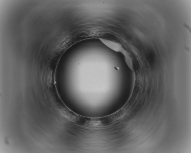 X0000097820554200803141143