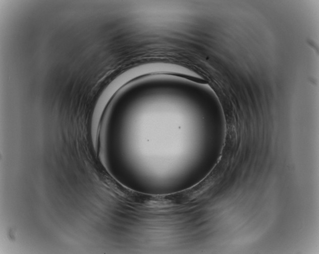 X0000097820556200803141143