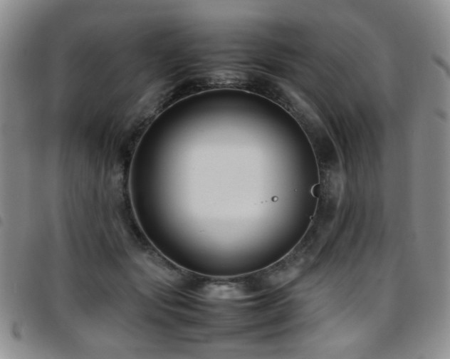 X0000097820557200803141143