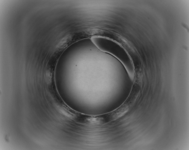 X0000097820558200803141143