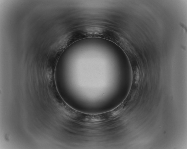 X0000097820559200803141143