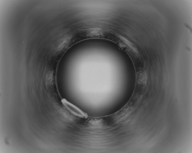 X0000097820560200803141143