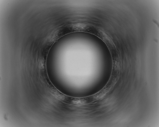 X0000097820561200803141143