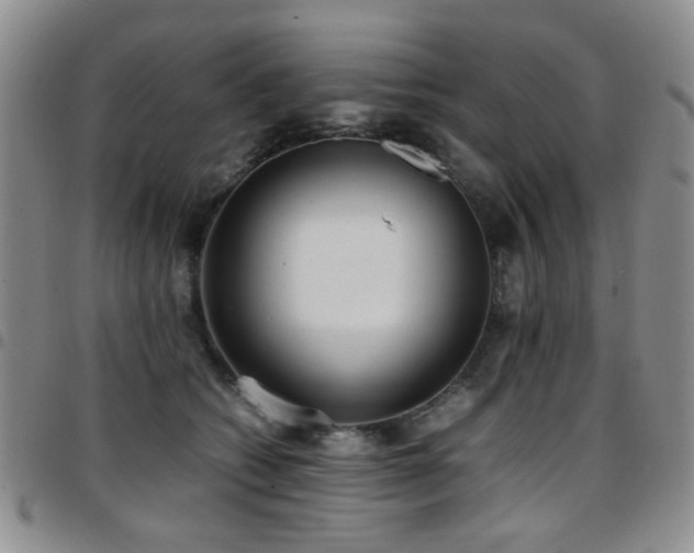 X0000097820562200803141143