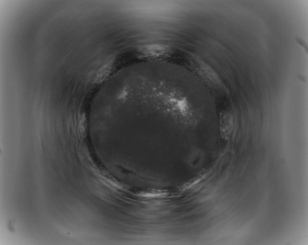 X0000097820563200803141143