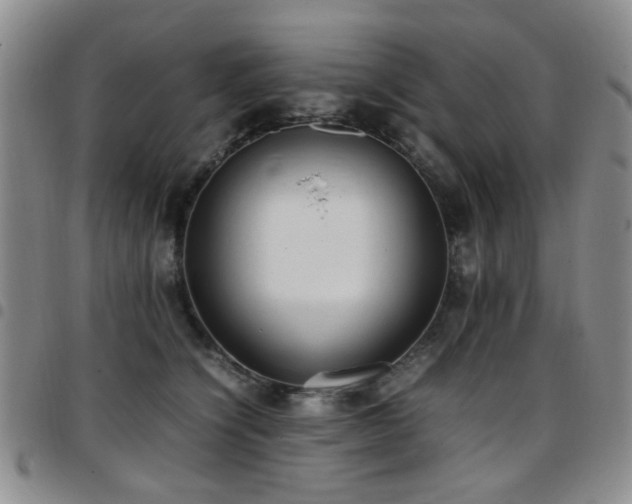 X0000097820564200803141143