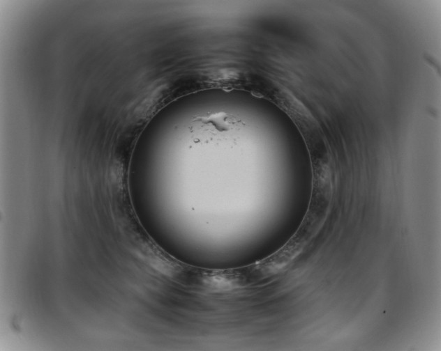 X0000097820565200803141143