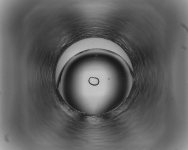 X0000097820568200803141143