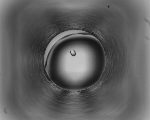 X0000097820576200803141143