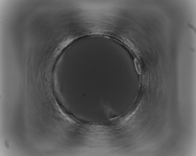 X0000097820577200803141142