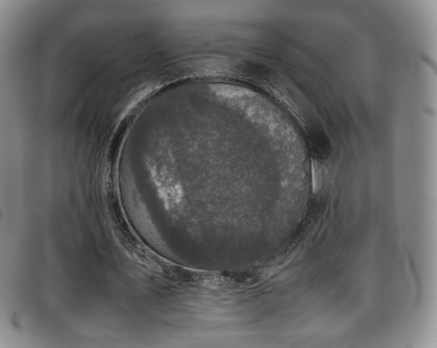 X0000097820579200803141142