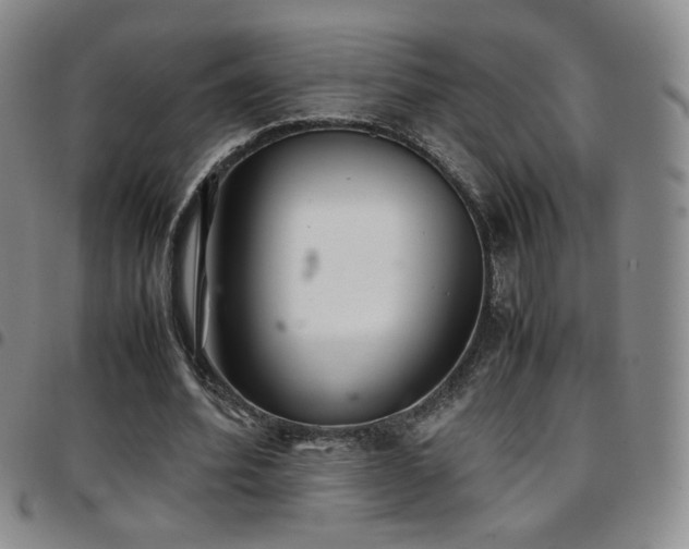 X0000097820580200803141142