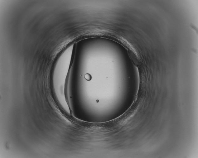 X0000097820581200803141142