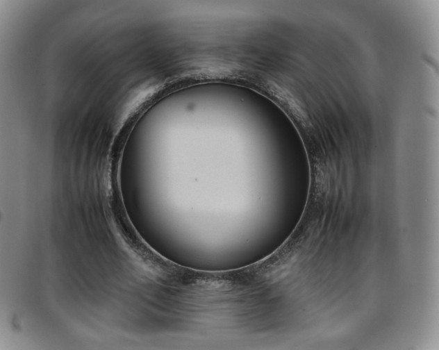 X0000097820582200803141142