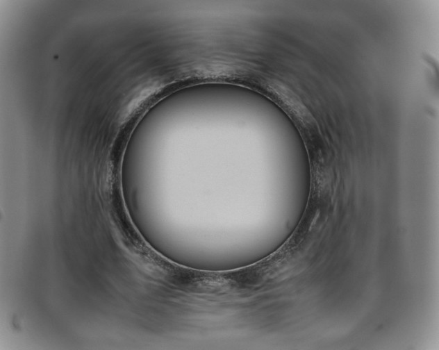 X0000097820583200803141142