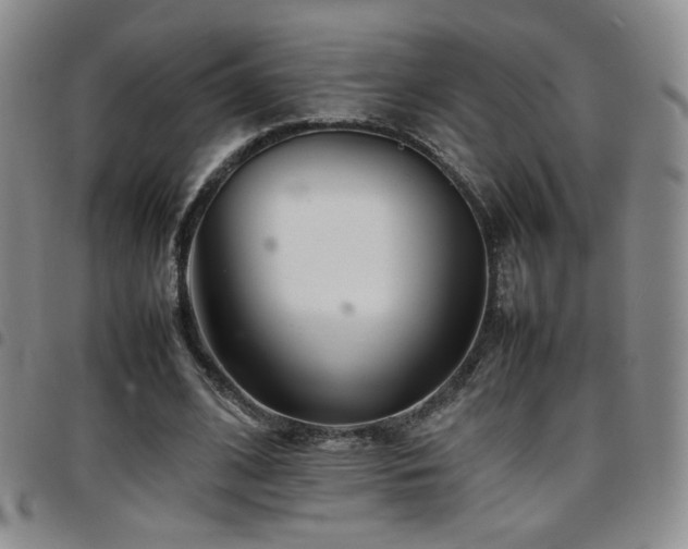 X0000097820584200803141142