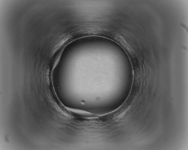 X0000097820585200803141142