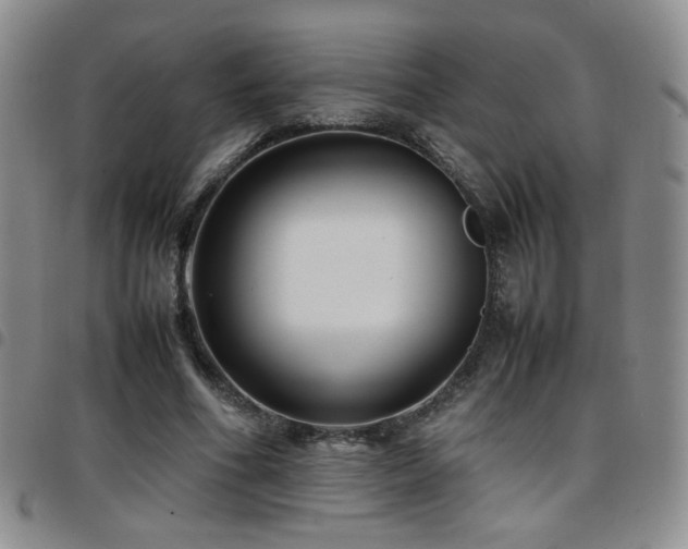 X0000097820586200803141142