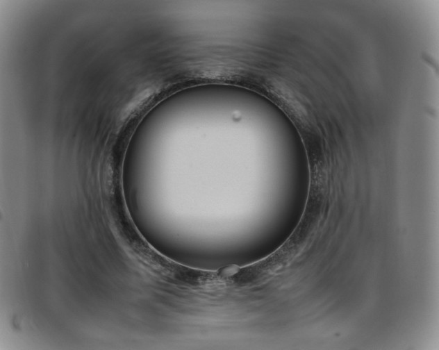 X0000097820587200803141142