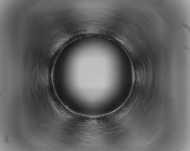 X0000097820588200803141142