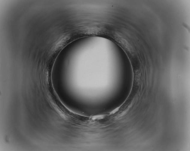 X0000097820589200803141142