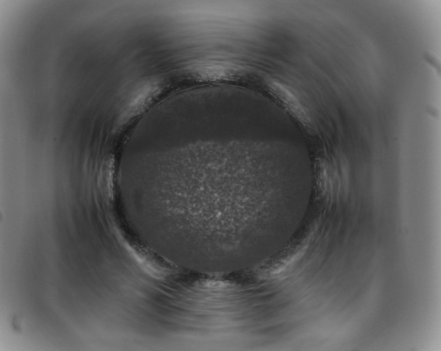 X0000097820590200803141142