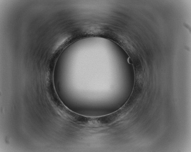 X0000097820591200803141142