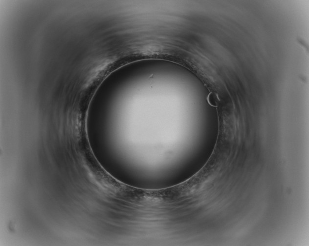 X0000097820592200803141142