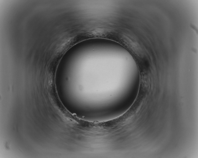 X0000097820593200803141142