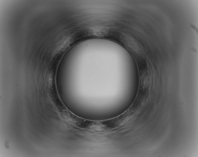 X0000097820595200803141142