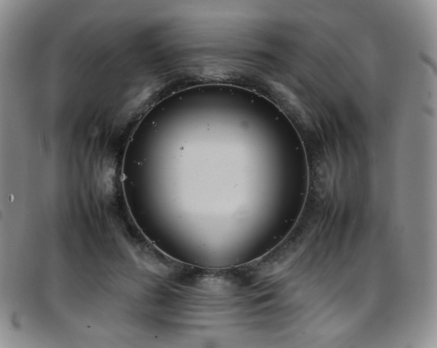 X0000097820596200803141142