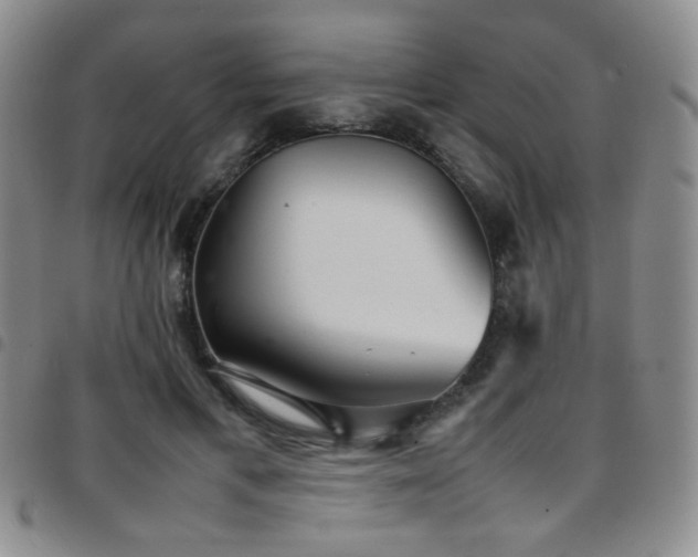 X0000097820597200803141142