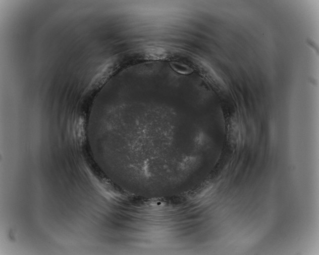 X0000097820598200803141142