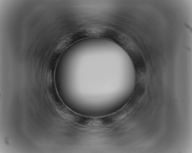 X0000097820599200803141142