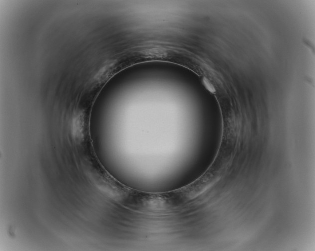 X0000097820600200803141142