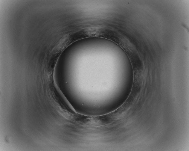 X0000097820601200803141142