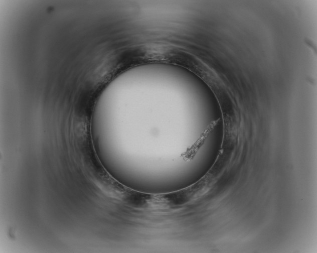 X0000097820603200803141142