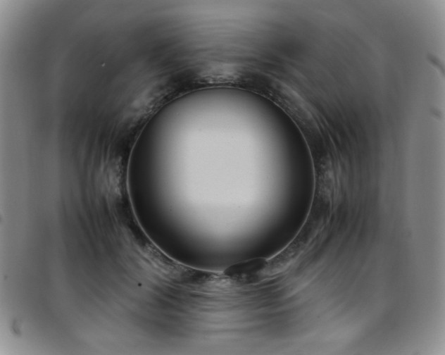 X0000097820604200803141142