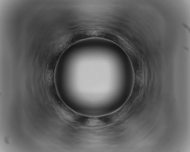 X0000097820605200803141142